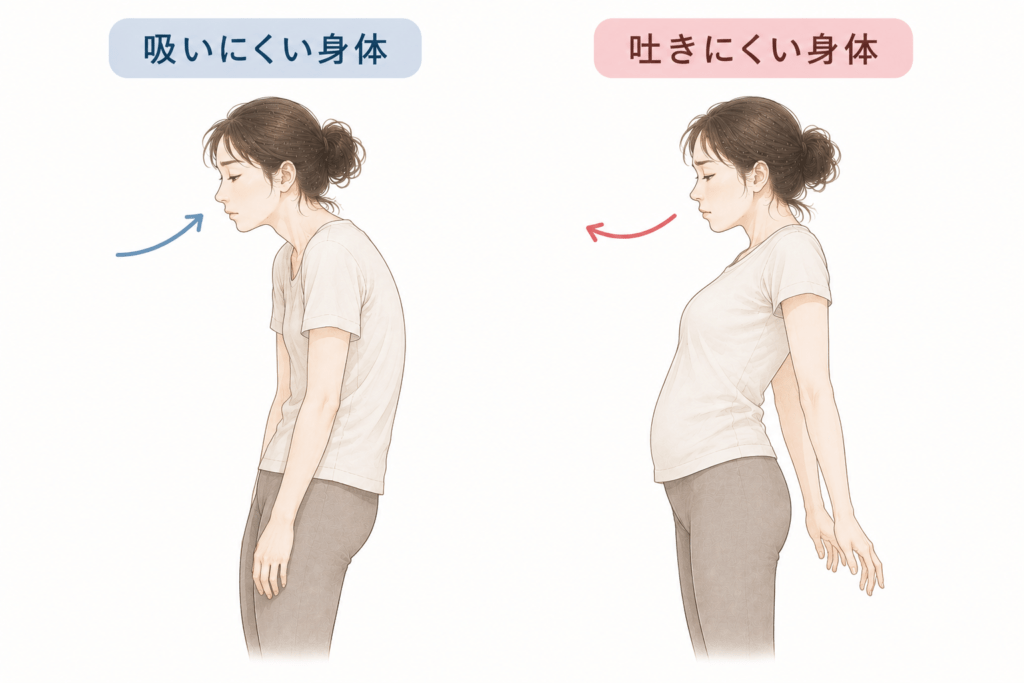 吸いにくい身体と吐きにくい身体のイメージ